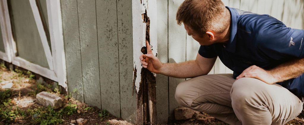 Dooley Termite Inspections