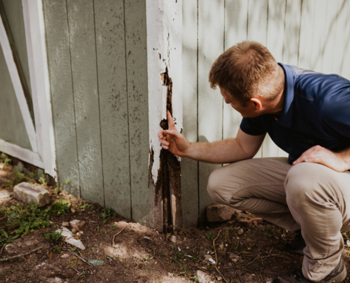 Dooley Termite Inspections