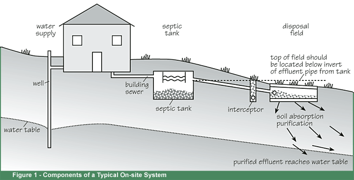 septic inspection graphic